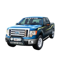 Load image into Gallery viewer, Westin 24-54290 Platinum 4 Oval Wheel To Wheel Step Bar Fits 09-14 F-150
