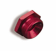 Load image into Gallery viewer, Holley Performance 26-76 Fuel Inlet Plug