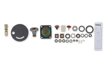 Load image into Gallery viewer, Holley Performance 3-888 Renew Carburetor Rebuild Kit