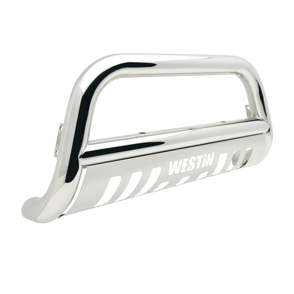 Westin 31-5640 E-Series Bull Bar