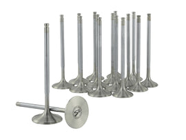 Skunk2 Racing 310-05-1400 Alpha Series Valve Set Fits 93-01 Prelude