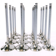 Load image into Gallery viewer, Skunk2 Racing 310-05-1535 Alpha Series Valve Set