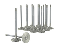 Load image into Gallery viewer, Skunk2 Racing 310-05-1535 Alpha Series Valve Set