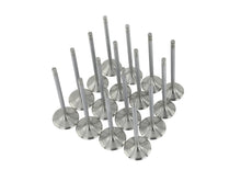Load image into Gallery viewer, Skunk2 Racing 310-05-1540 Alpha Series Valve Set Fits Accord Civic CR-V Element