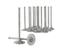 Load image into Gallery viewer, Skunk2 Racing 310-05-1555 Alpha Series Valve Set