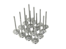 Load image into Gallery viewer, Skunk2 Racing 310-05-1555 Alpha Series Valve Set