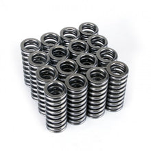 Load image into Gallery viewer, Skunk2 Racing 311-05-1345 Alpha Series Valve Spring Set