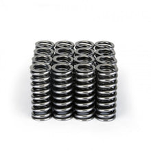 Load image into Gallery viewer, Skunk2 Racing 311-05-1345 Alpha Series Valve Spring Set