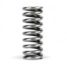 Load image into Gallery viewer, Skunk2 Racing 311-05-1345 Alpha Series Valve Spring Set