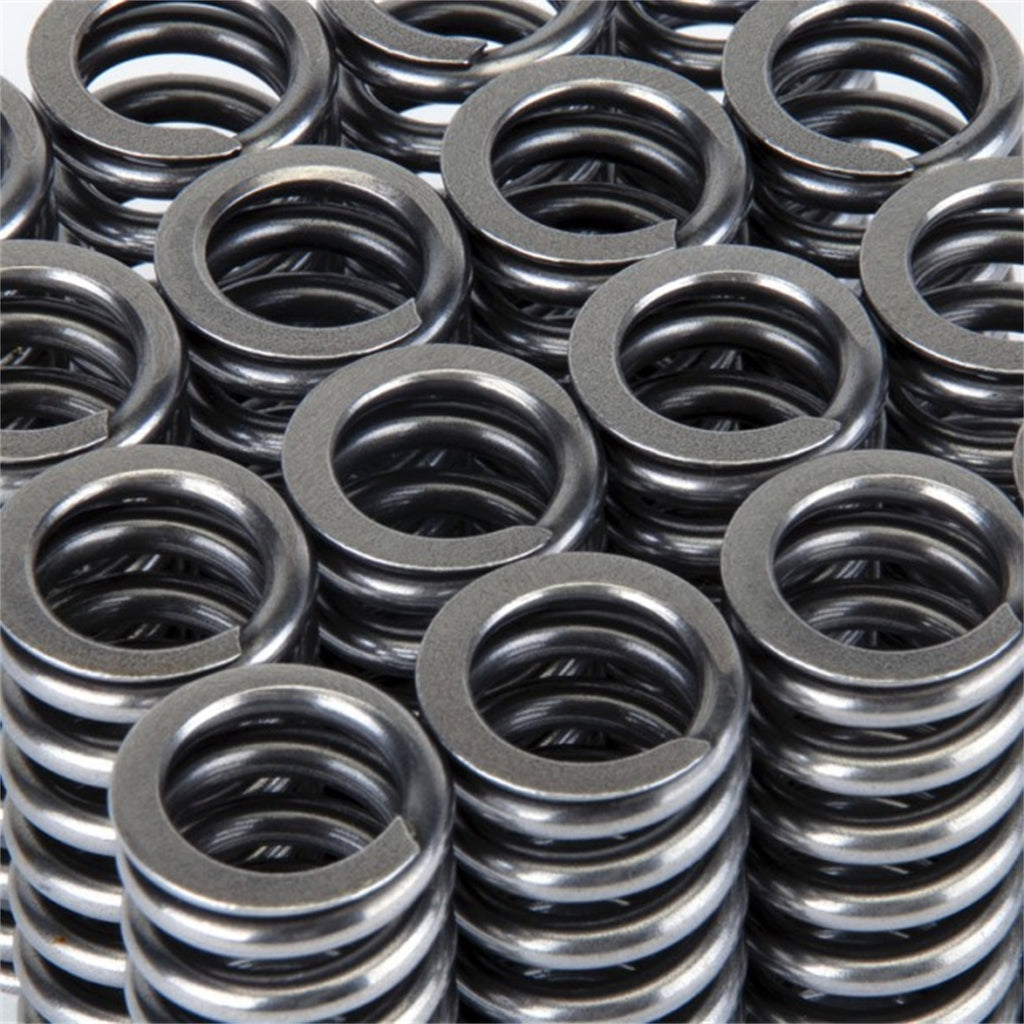 Skunk2 Racing 311-05-1345 Alpha Series Valve Spring Set