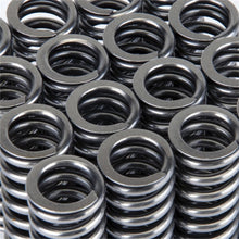 Load image into Gallery viewer, Skunk2 Racing 311-05-1345 Alpha Series Valve Spring Set