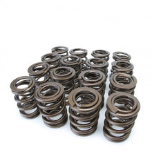 Load image into Gallery viewer, Skunk2 Racing 311-05-1360 Alpha Series Valve Spring Set Fits 93-01 Prelude