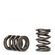 Load image into Gallery viewer, Skunk2 Racing 311-05-1380 Alpha Series Valve Spring Set