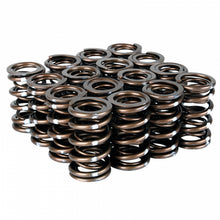 Load image into Gallery viewer, Skunk2 Racing 311-05-7350 Pro Series XP Valve Spring Set
