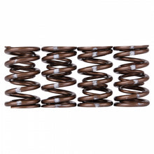 Load image into Gallery viewer, Skunk2 Racing 311-05-7350 Pro Series XP Valve Spring Set