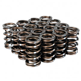 Skunk2 Racing 311-05-7380 Pro Series XP Valve Spring Set