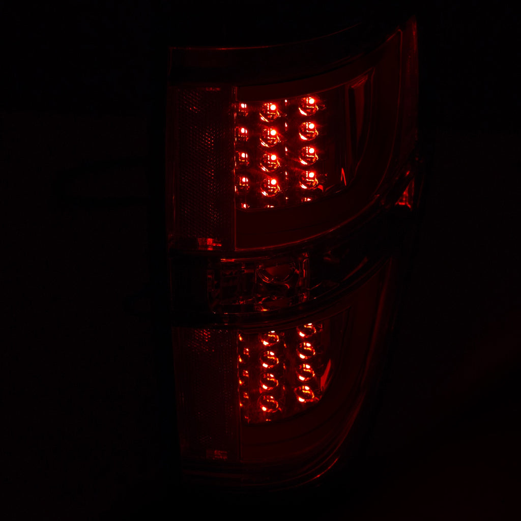 Anzo USA 311259 Tail Light Assembly Fits 09-14 F-150