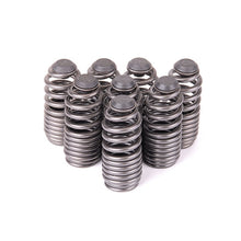 Load image into Gallery viewer, Skunk2 Racing 312-05-0200 Lost Motion Assembly Spring Set