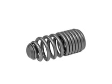 Load image into Gallery viewer, Skunk2 Racing 312-05-0200 Lost Motion Assembly Spring Set