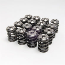 Load image into Gallery viewer, Skunk2 Racing 344-05-1300 Alpha Series Valve Spring And Retainer Kit