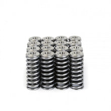 Load image into Gallery viewer, Skunk2 Racing 344-05-1350 Alpha Series Valve Spring And Retainer Kit