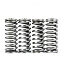 Load image into Gallery viewer, Skunk2 Racing 344-05-1350 Alpha Series Valve Spring And Retainer Kit
