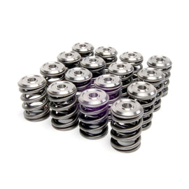 Skunk2 Racing 344-05-1410 Alpha Series Valve Spring And Retainer Kit