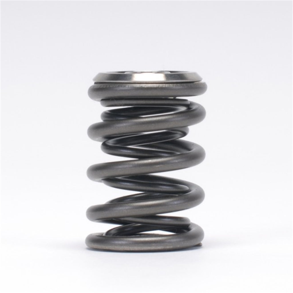 Skunk2 Racing 344-05-1410 Alpha Series Valve Spring And Retainer Kit