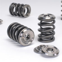 Load image into Gallery viewer, Skunk2 Racing 344-12-1000 Alpha Series Valve Spring And Retainer Kit Fits FR-S