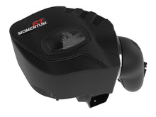 Load image into Gallery viewer, AFE Filters 50-70105D Momentum GT Pro DRY S Air Intake System Fits 20-24 X3 X4