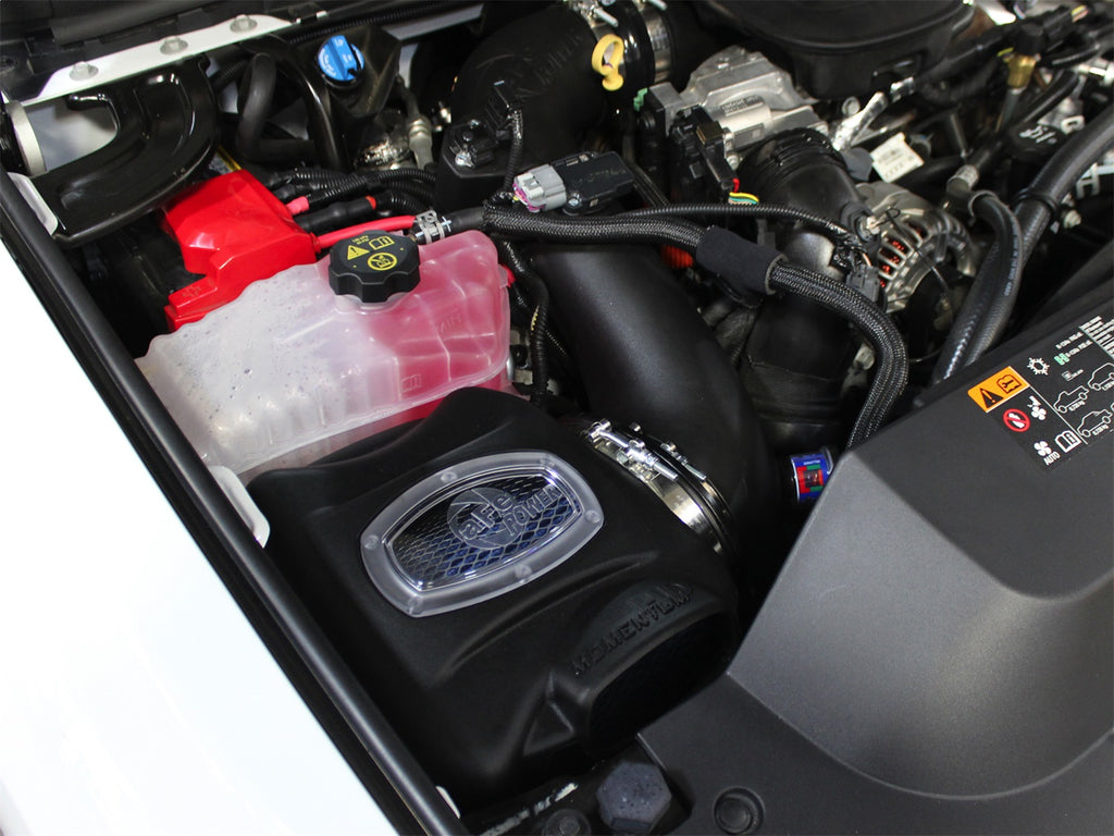 AFE Filters 50-74006-1 Momentum HD Pro 10R Air Intake System