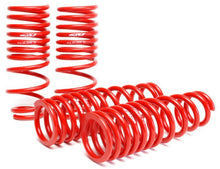 Load image into Gallery viewer, Skunk2 Racing 519-05-1480 Lowering Coil Spring Set Fits Civic Civic del Sol