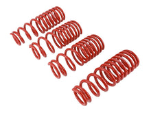 Load image into Gallery viewer, Skunk2 Racing 519-05-1480 Lowering Coil Spring Set Fits Civic Civic del Sol