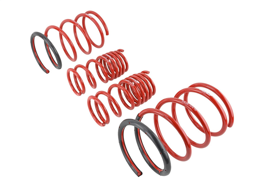 Skunk2 Racing 519-05-1575 Lowering Coil Spring Set Fits 02-05 Civic