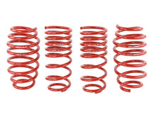 Load image into Gallery viewer, Skunk2 Racing 519-05-1580 Lowering Coil Spring Set Fits 06-11 Civic