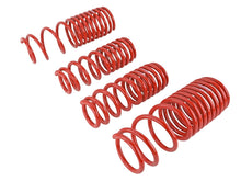Load image into Gallery viewer, Skunk2 Racing 519-05-1630 Lowering Coil Spring Set Fits 90-97 Accord