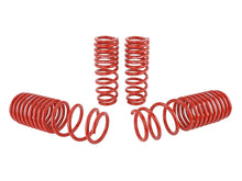 Load image into Gallery viewer, Skunk2 Racing 519-05-1630 Lowering Coil Spring Set Fits 90-97 Accord
