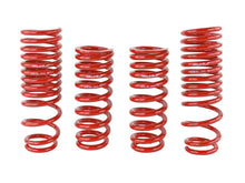 Load image into Gallery viewer, Skunk2 Racing 519-05-1640 Lowering Coil Spring Set Fits 90-93 Integra