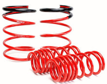 Load image into Gallery viewer, Skunk2 Racing 519-05-1670 Lowering Coil Spring Set Fits 02-04 RSX