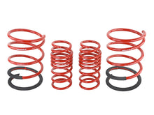 Load image into Gallery viewer, Skunk2 Racing 519-05-1670 Lowering Coil Spring Set Fits 02-04 RSX