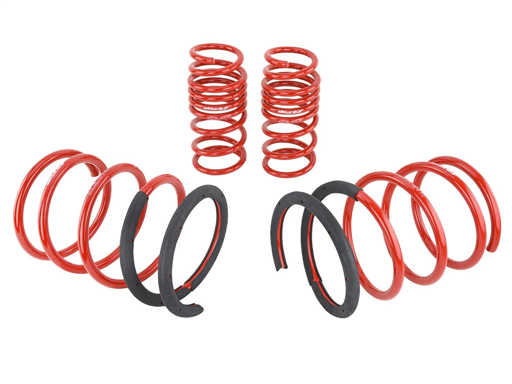 Skunk2 Racing 519-05-1670 Lowering Coil Spring Set Fits 02-04 RSX