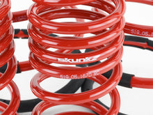 Load image into Gallery viewer, Skunk2 Racing 519-05-1670 Lowering Coil Spring Set Fits 02-04 RSX