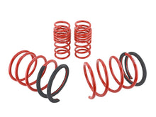 Load image into Gallery viewer, Skunk2 Racing 519-05-1672 Lowering Coil Spring Set Fits 05-06 RSX