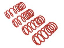 Load image into Gallery viewer, Skunk2 Racing 519-05-1680 Lowering Coil Spring Set Fits 00-09 S2000