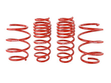 Load image into Gallery viewer, Skunk2 Racing 519-05-1775 Lowering Coil Spring Set Fits 16-18 Civic