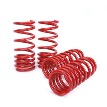 Load image into Gallery viewer, Skunk2 Racing 519-07-1002 Lowering Coil Spring Set Fits 09-14 370Z