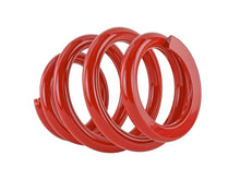Load image into Gallery viewer, Skunk2 Racing 521-99-1160 Race Coil Spring Fits 06-11 Civic