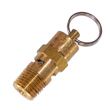 Load image into Gallery viewer, Kleinn Automotive Air Horns 52175 Safety Valve