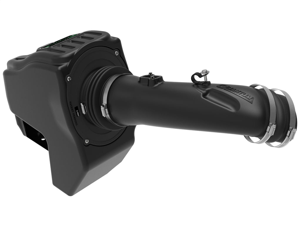 AFE Filters 53-10003D QUANTUM Pro DRY S Air Intake System