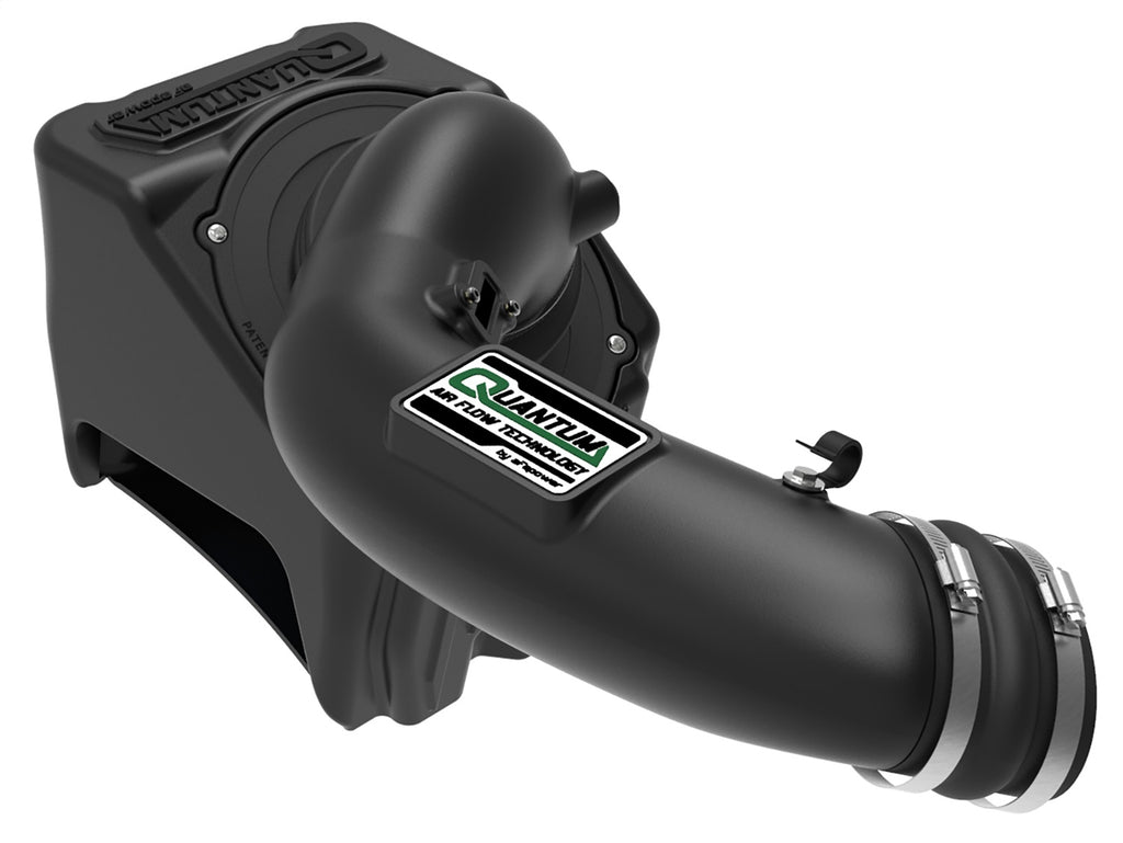 AFE Filters 53-10004D QUANTUM Pro DRY S Air Intake System